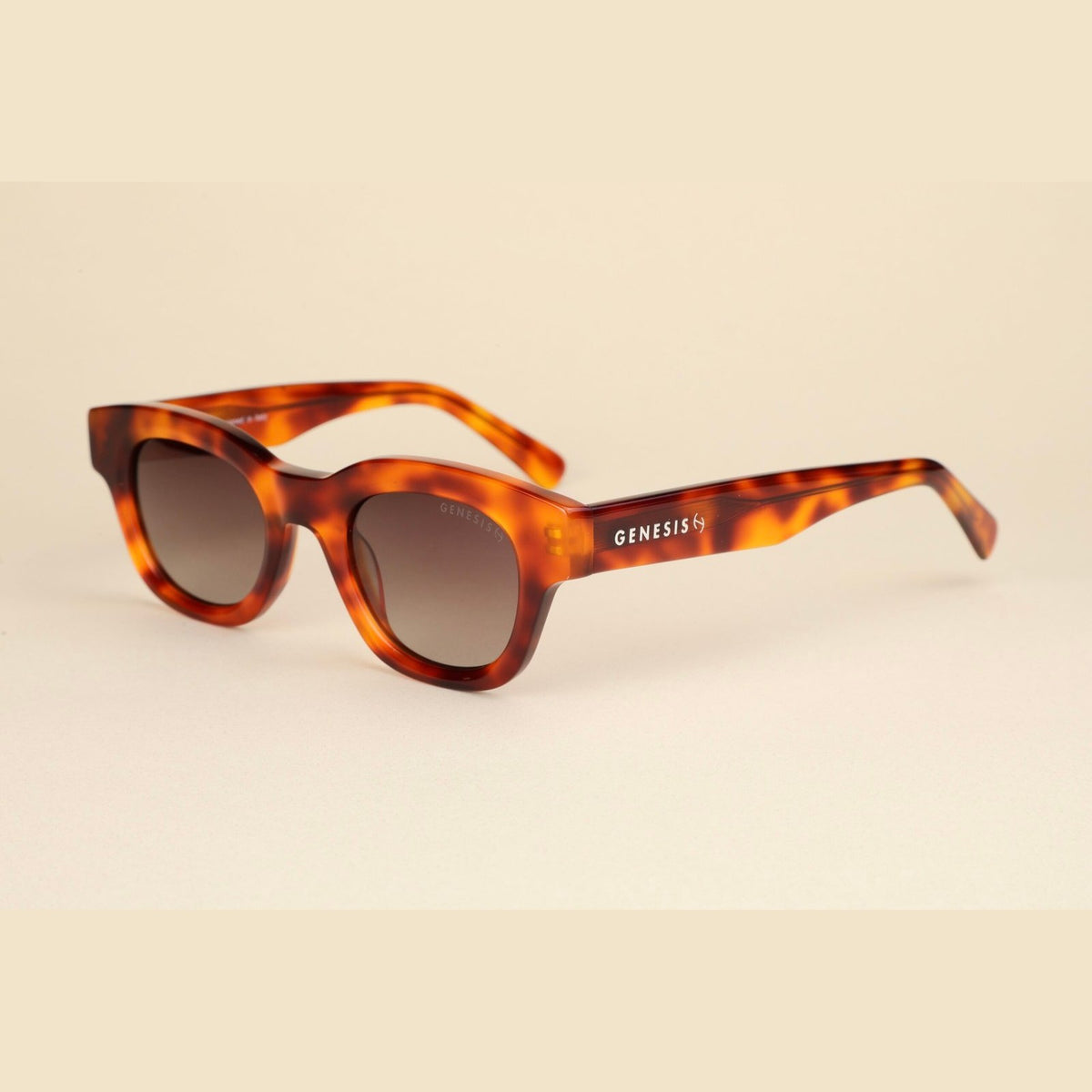 NG5 Unisex Sunglasses – Vintage Spirit, Modern Confidence