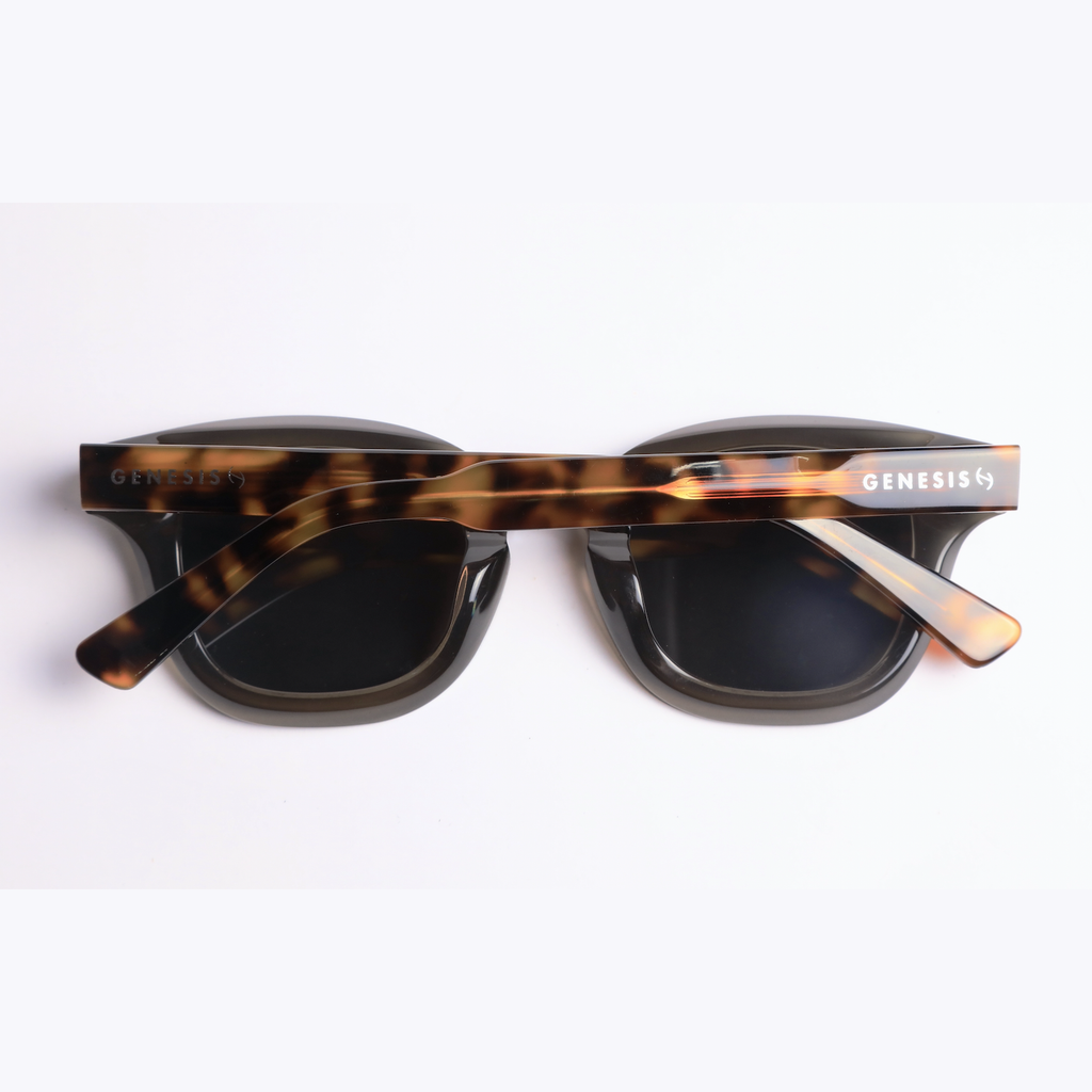 GENESIS Sunglasses Luxury Line Splendore Black Brown LL6