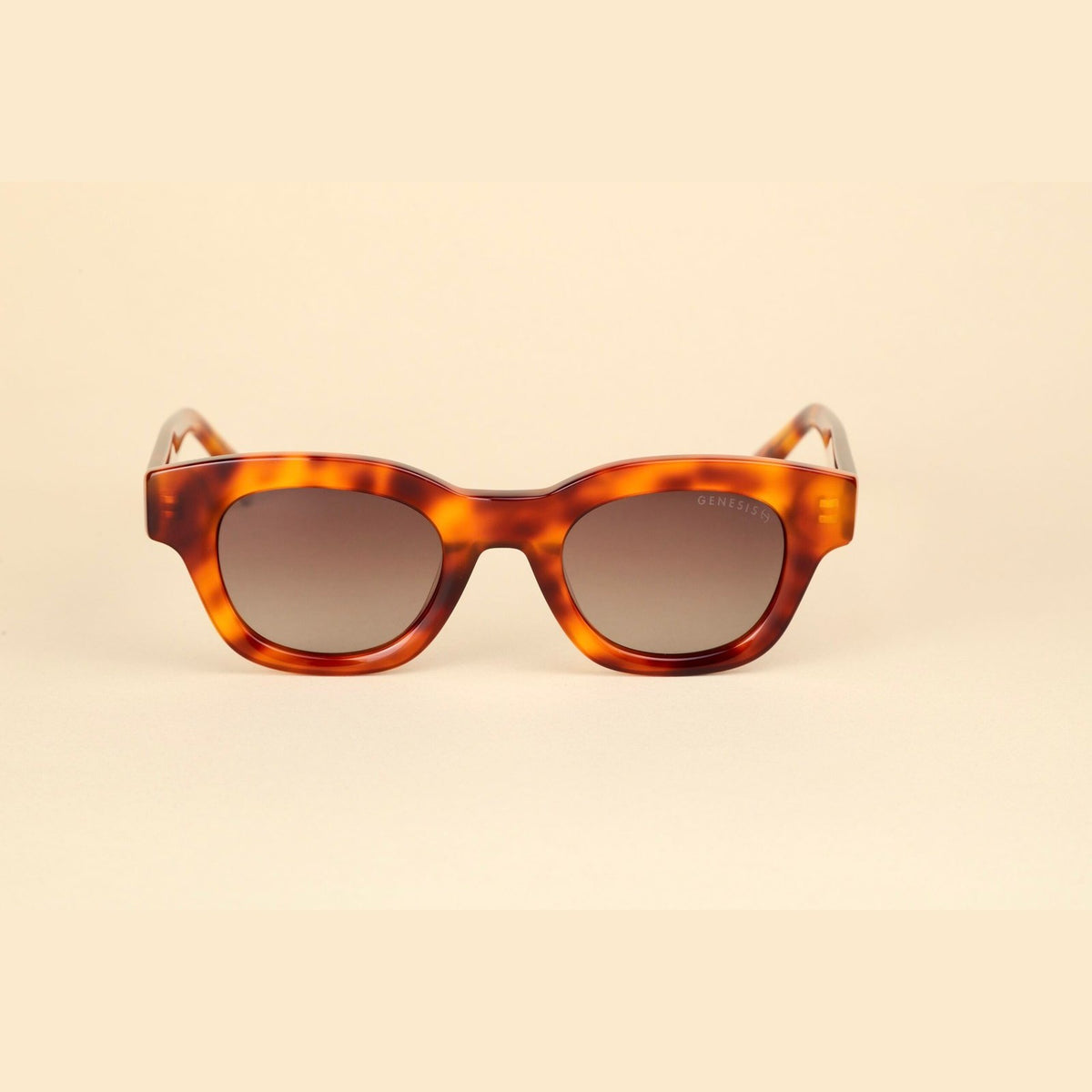NG5 Unisex Sunglasses – Vintage Spirit, Modern Confidence